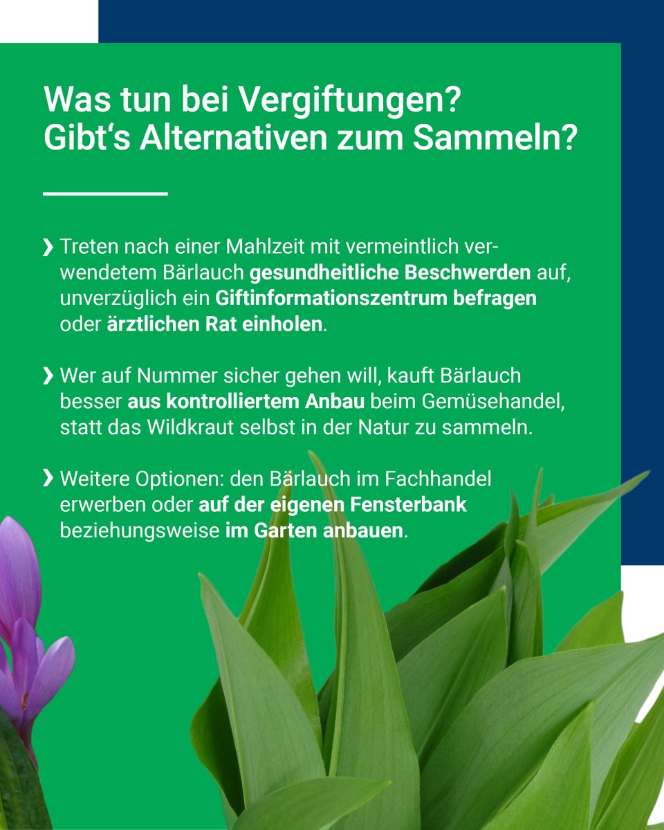 BfR | Bundesinstitut für Risikobewertung tweet media