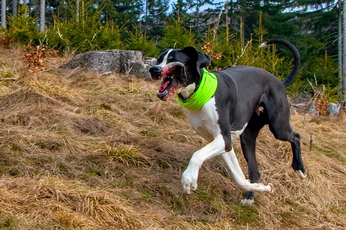 Dnes je ten den, kdy širokým úsměvem dosáhneme cíle