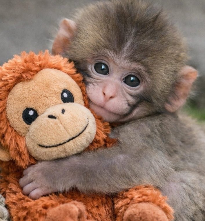 Keep showing up, even on the days you don’t feel like it. Small steps every day can turn into big results. 🚀