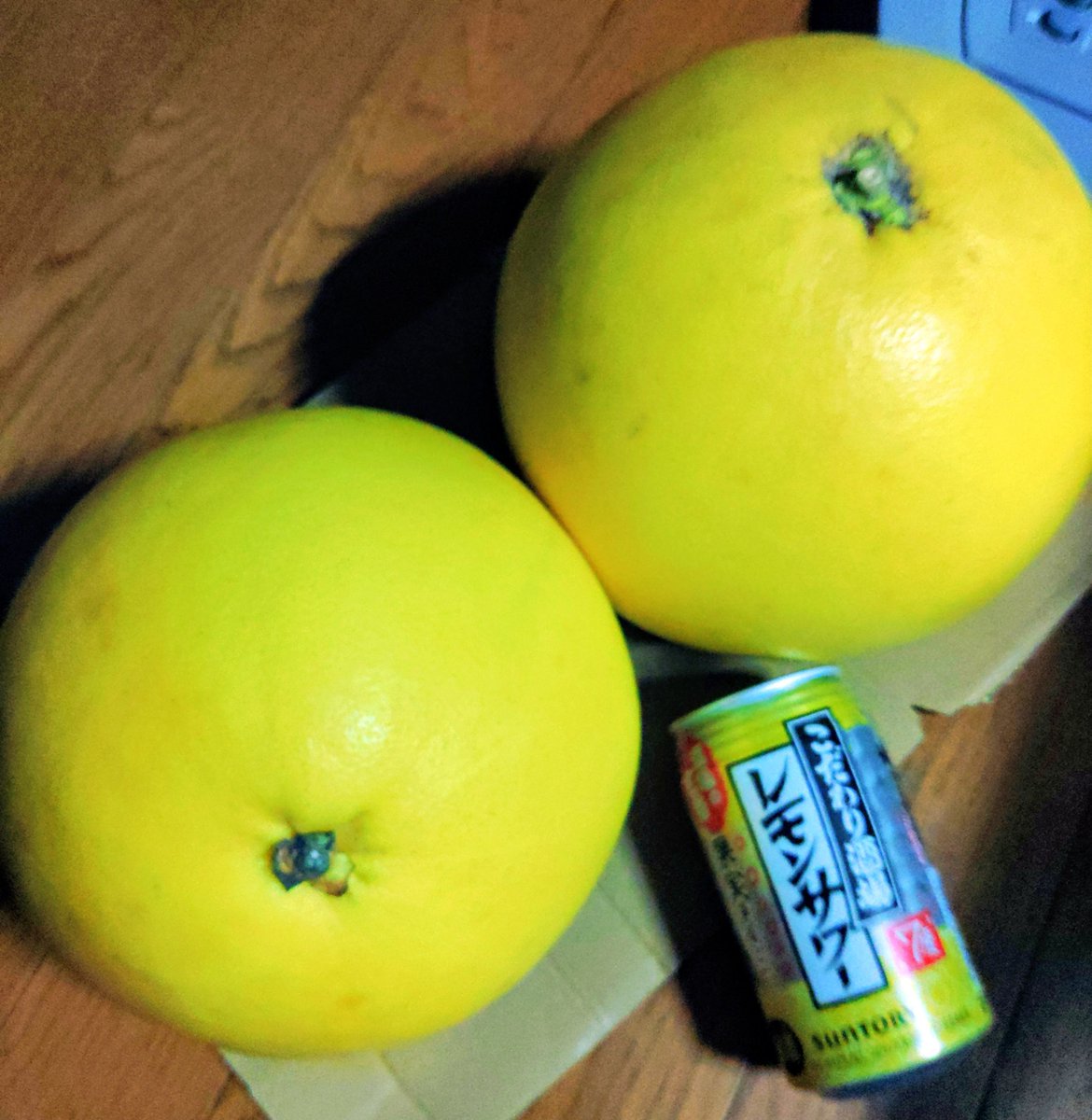 イマムラセイヤ　ペン画 tweet media