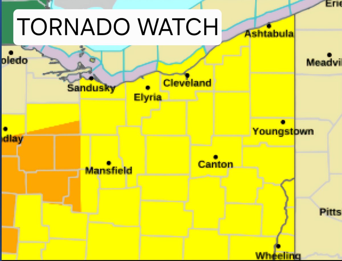 The REAL Mark Johnson tweet media