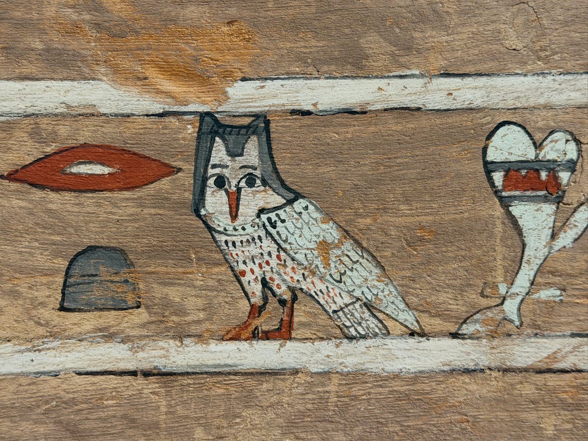 サムシング吉松 tweet media