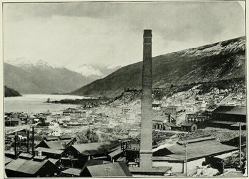 American Literature tweet media