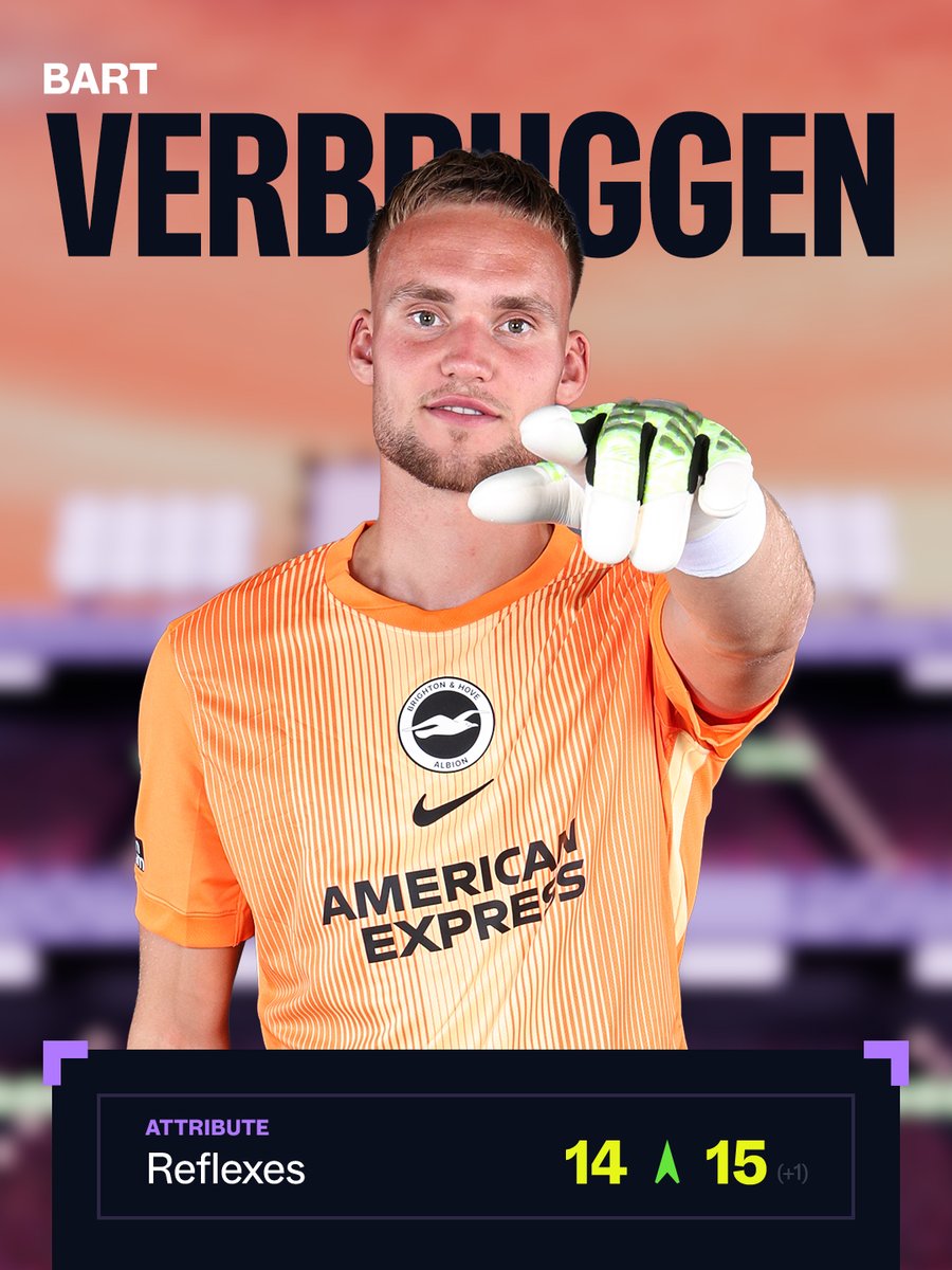 Brighton & Hove Albion tweet media