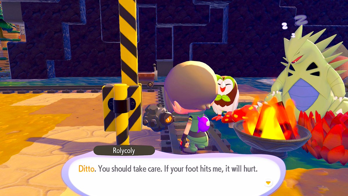 SplashPlate tweet media