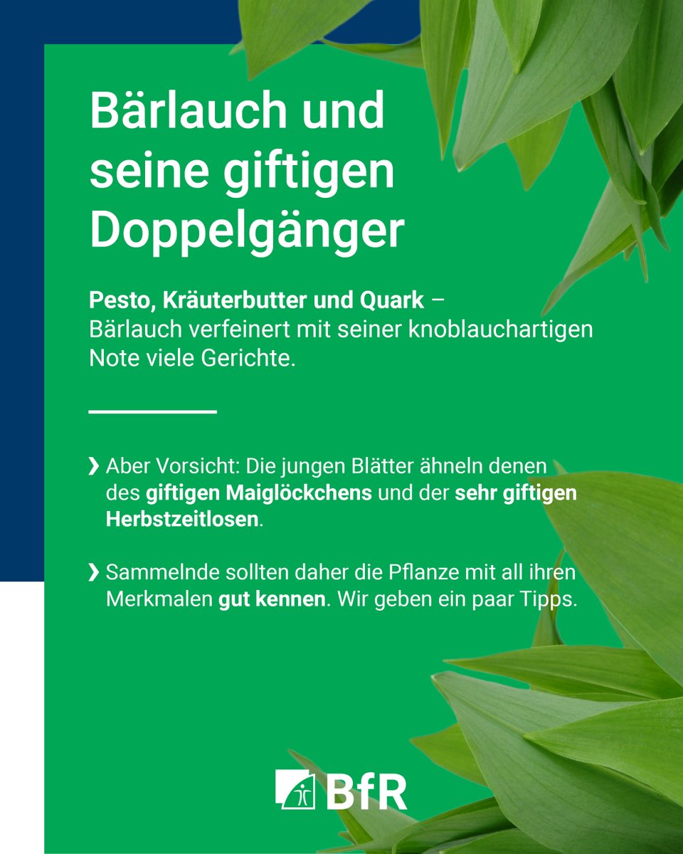 BfR | Bundesinstitut für Risikobewertung tweet media