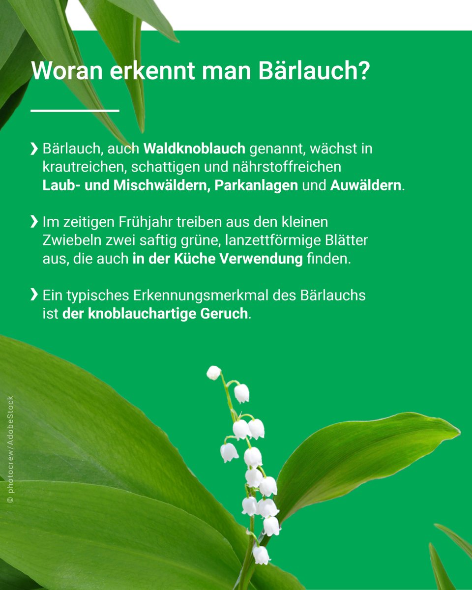 BfR | Bundesinstitut für Risikobewertung tweet media