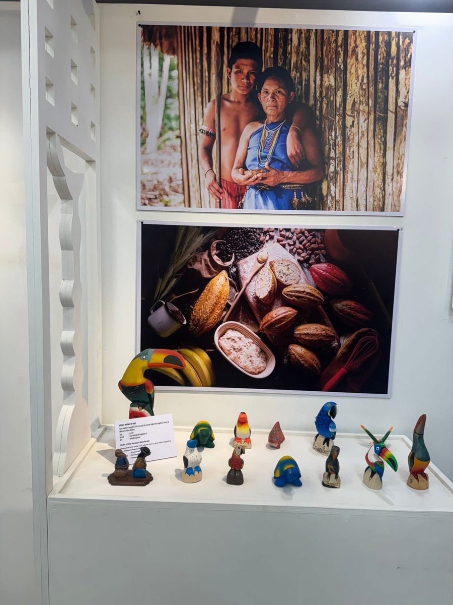 Embajada Ecuador India tweet media