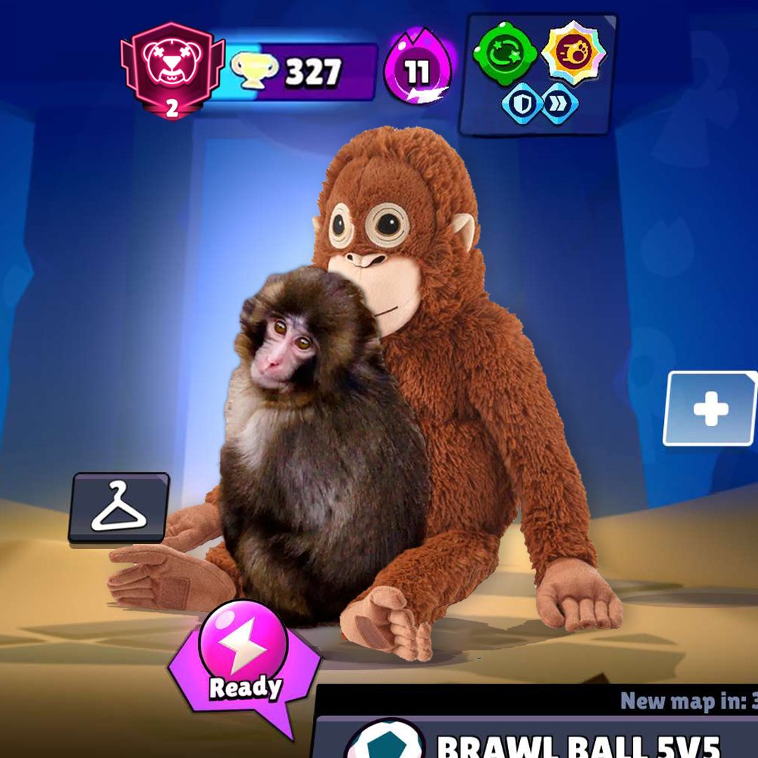 Tribe Gaming tweet media