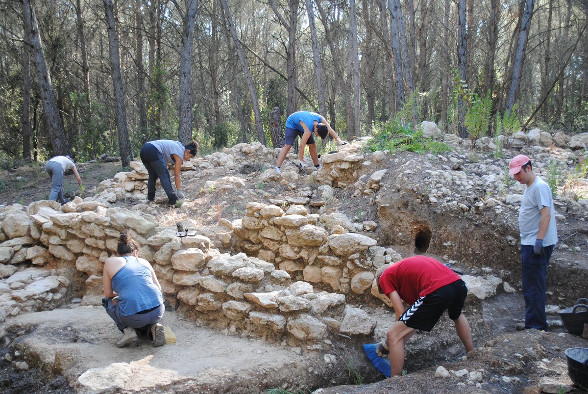 Lluís Tolosa tweet media