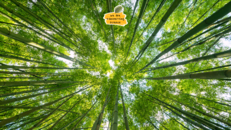 Transmitting Science | Online courses and more tweet media