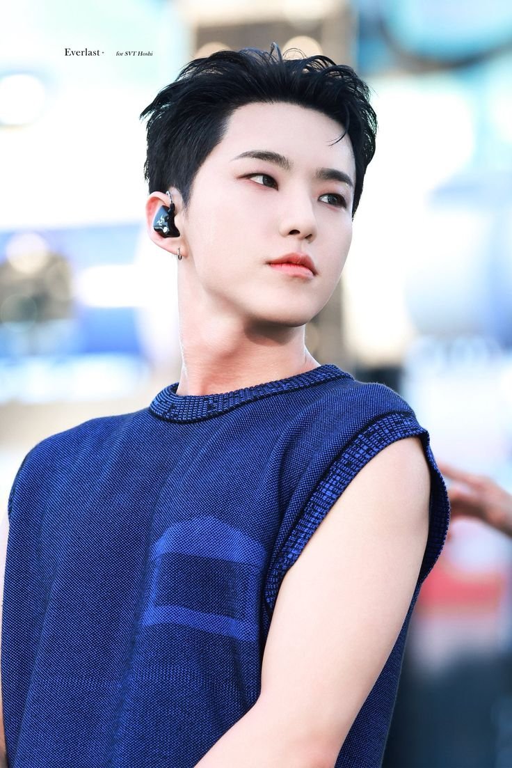 368 days until Hoshi's return from military service.