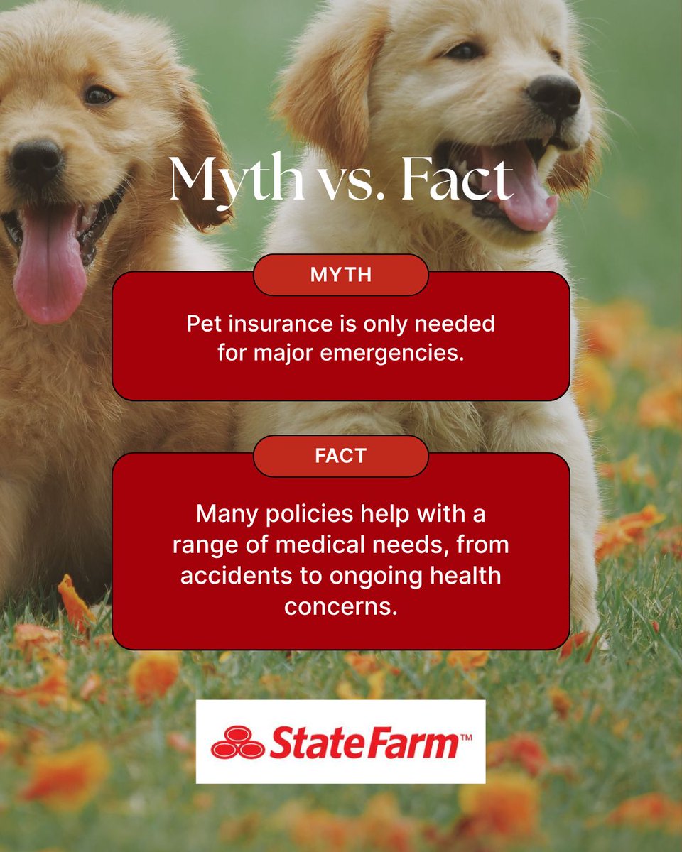 SueFrankIns's tweet image. Vet visits can add up quickly, especially when unexpected health concerns arise. Pet insurance can help manage medical costs so you can focus on your pet’s comfort and care.

Call (816) 353-4400 to learn about pet insurance options.
#PetInsurance #RaytownMO #SueFrankInsurance
