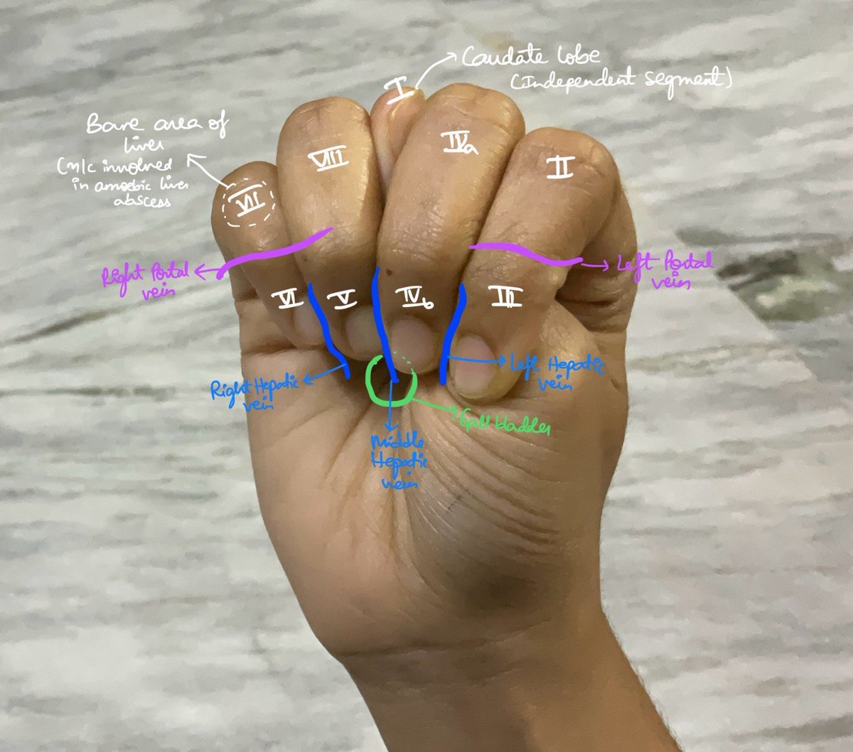 Tejaaaa✨🌸 tweet media