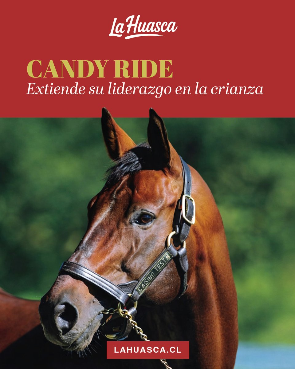 ElTurf.com tweet media