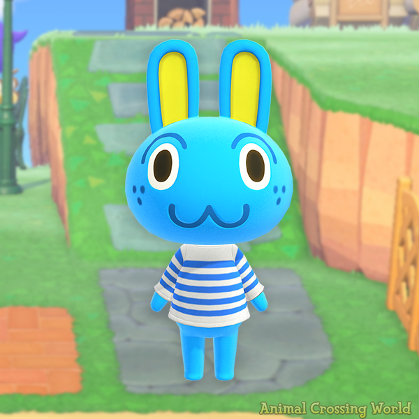 Animal Crossing World 🏝️ tweet media