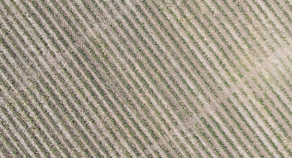 Rob-See-Co tweet media