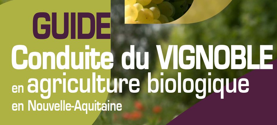 Cyril_dgnr's tweet photo. [Thread] 
Je vais vous parler d'un document réalisé par les @ChambagriFrance  intitulé : Guide de Conduite du Vignoble en Agriculture Biologique en Nouvelle-Aquitaine.
Ce document est donc un guide technique pour le vignoble. https://t.co/UPHvaFPsKS
