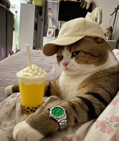 คือมีคนไปตามดิฉันในเกือบทุกช่องทาง หลังจากที่หายไป คงคิดว่าดิฉันอาจหายไปในปอยเปต
เปล่าค่ะ ดิฉันไม่ได้ถูกลักพาตัว แต่ไปค้าแรงงานขี้ข้ายังต่างแดนโดยการล่อด้วยคำขานว่า “หนู” เพราะเกรงว่าดิฉันจะเป็นหมาหัวเน่าของครอบครัว
#ให้กุเป็นหมาหัวเน่าเถอะคร่ะทาสผู้นี้ต้องการเป็นอิสระ