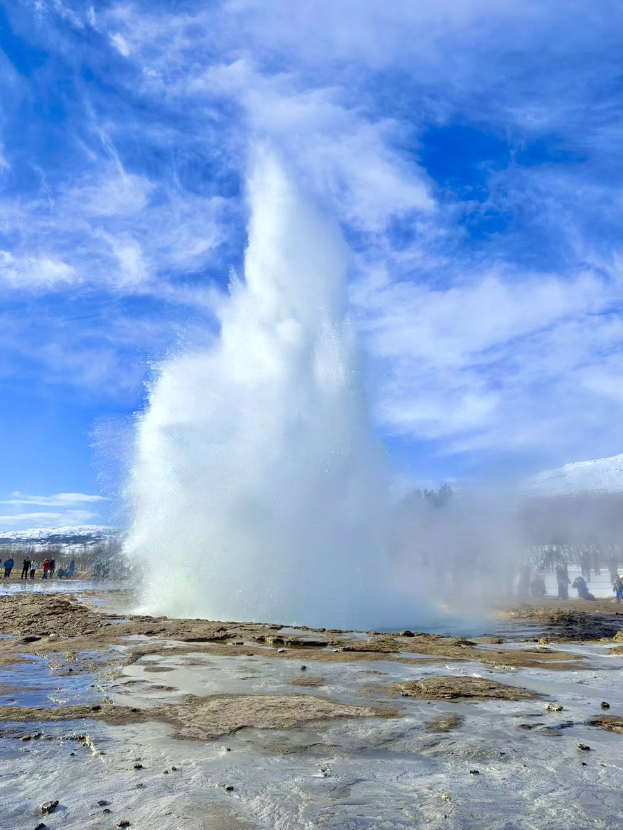 Dominic Manning tweet media