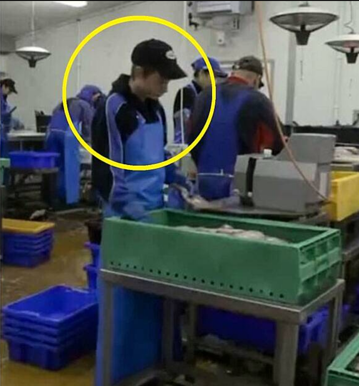 Matthias #SiempreGino tweet media