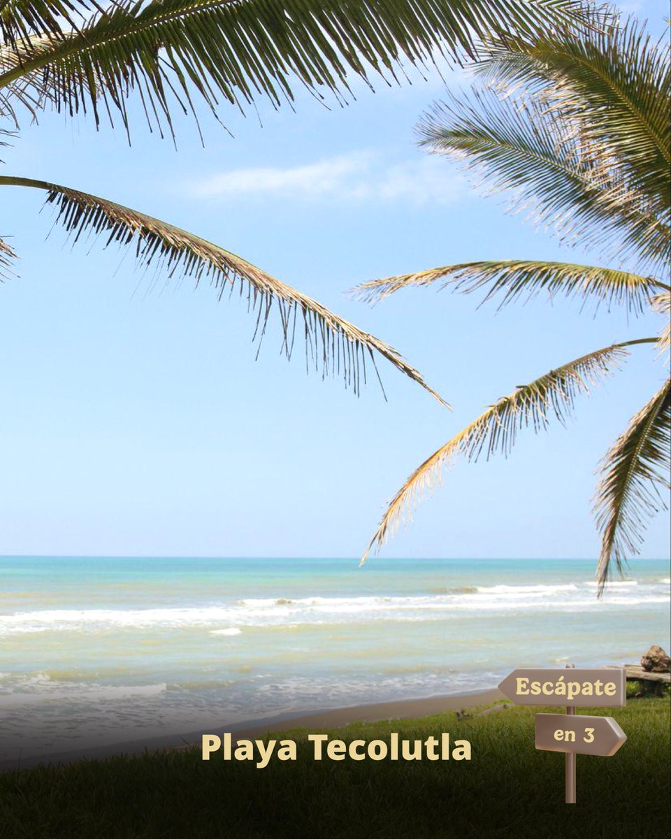 Escápate a #Veracruz y vive una experiencia de 3 días y 2 noches. 🌴

Descubre El Tajín, la tradición de Papantla y el mar de Tecolutla 🌊

📅 8 al 10 de mayo de 2026
🚌 Salida CDMX: 7 mayo | 23:50 hrs

⚠️ Cupo limitado

#TeAsesoramos