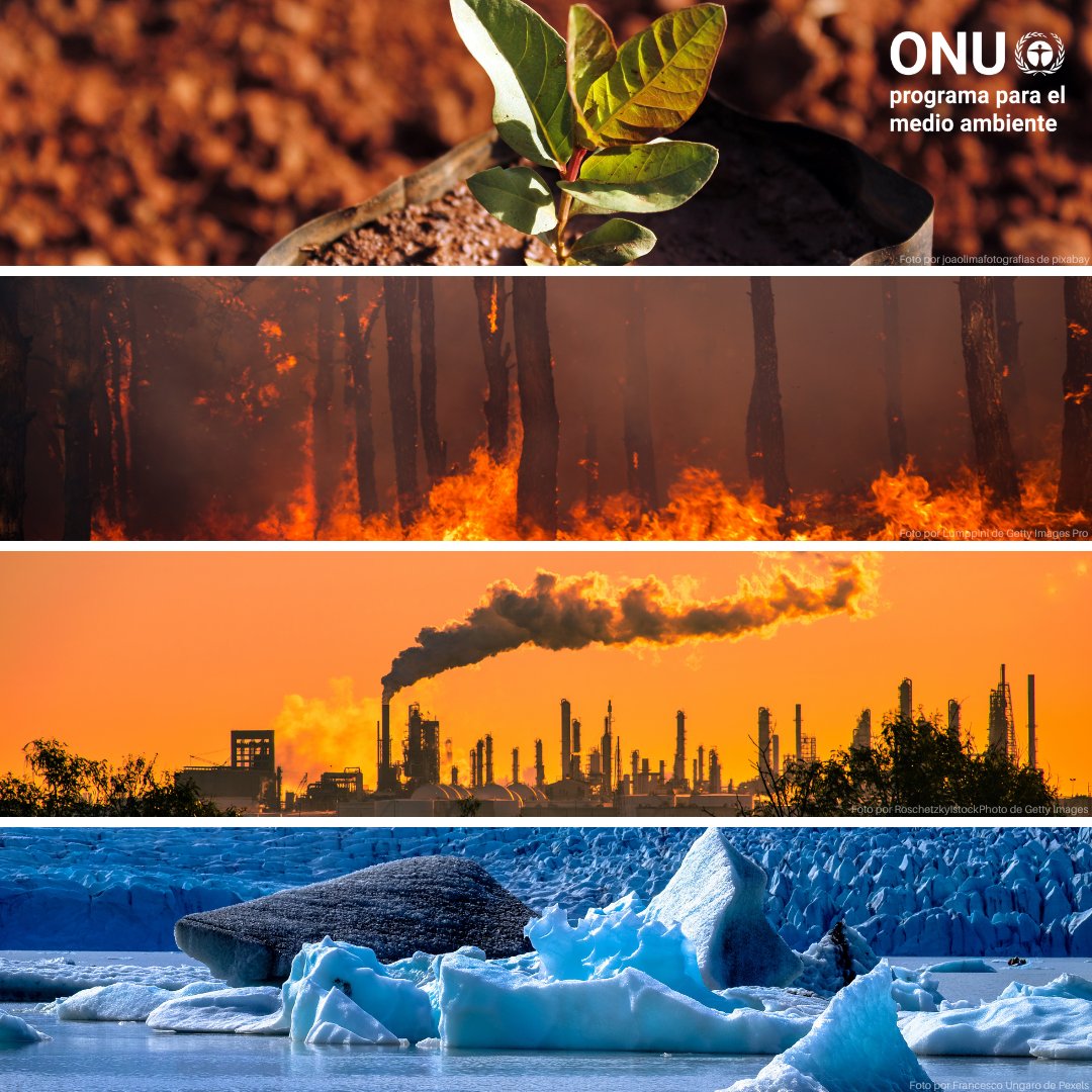 ¿Cuánto sabes sobre el cambio climático?

Consulta aquí datos y hallazgos actualizados periódicamente sobre el clima y sus vínculos con la economía, los temas sociales, la naturaleza y mucho más.

unep.org/es/topics/clim…