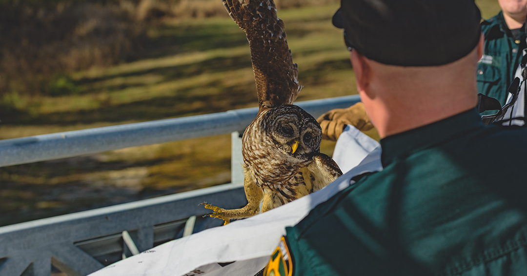 Polk Fire Rescue tweet media