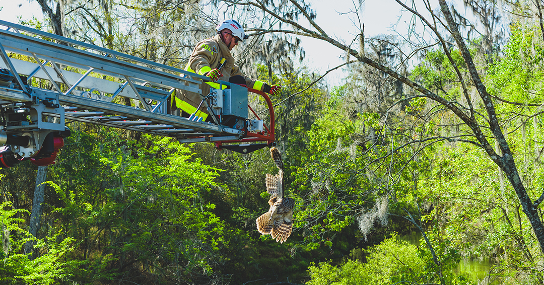 Polk Fire Rescue tweet media