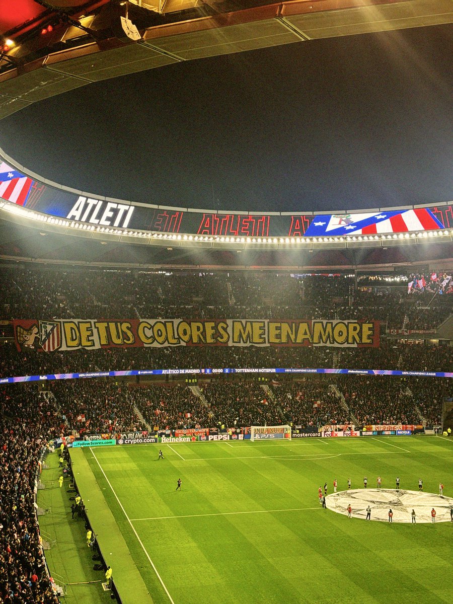 Laura Fernández tweet media