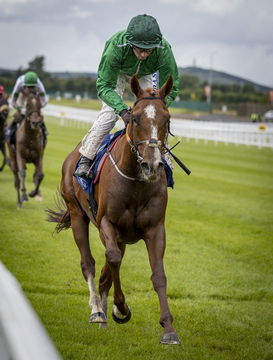 Racing Post tweet media