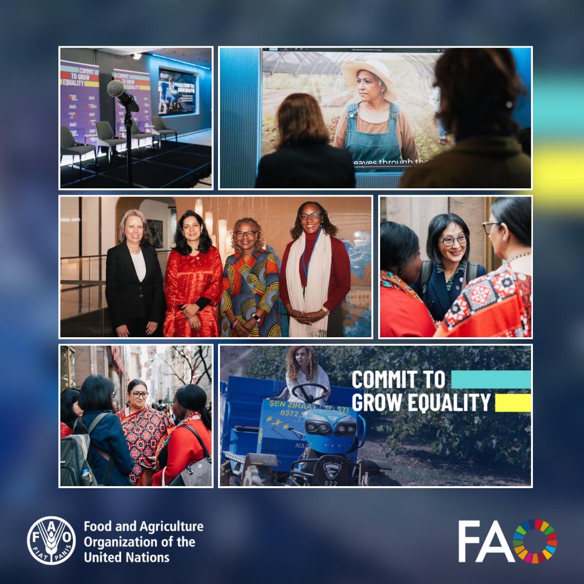 FAO in New York tweet media