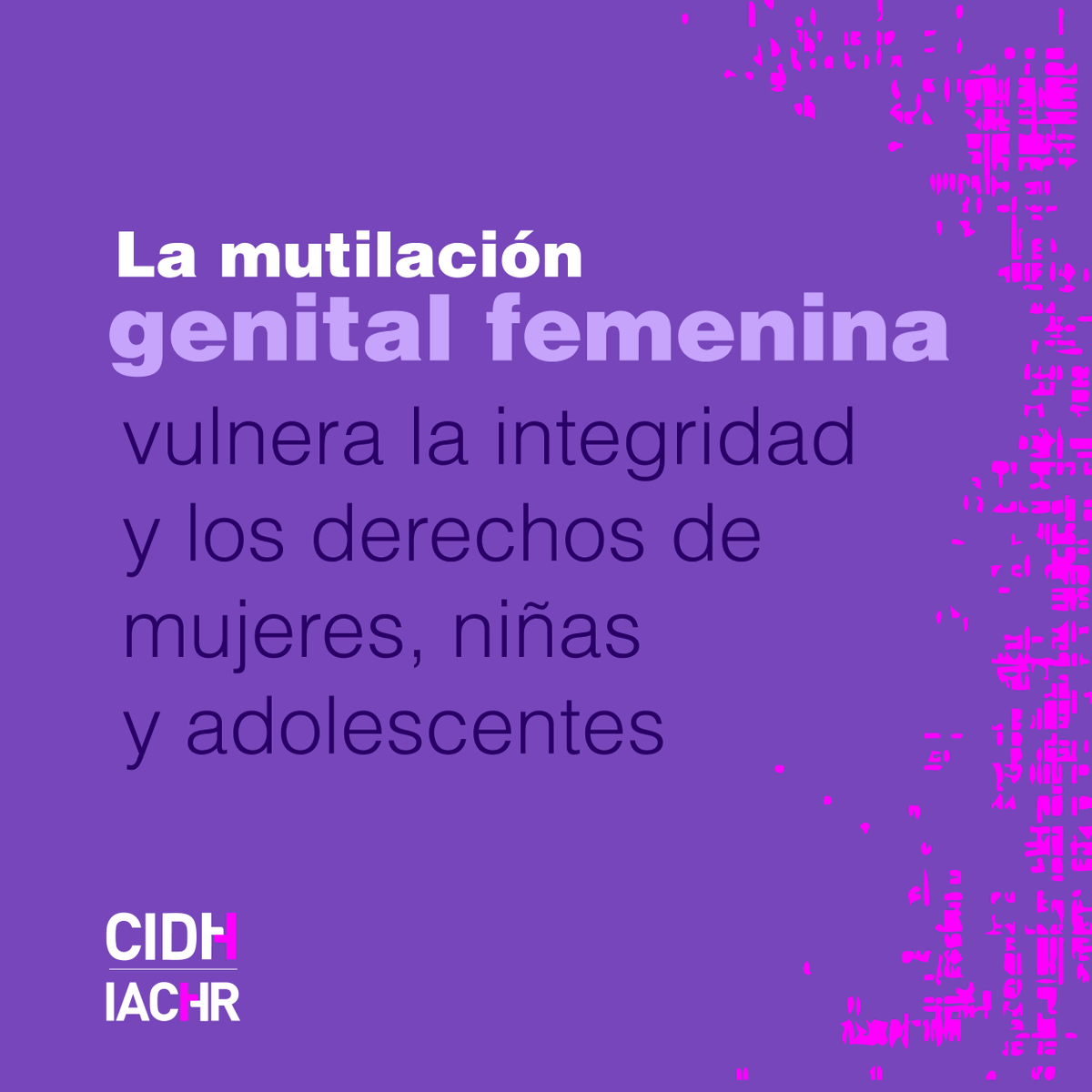 CIDH - IACHR tweet media