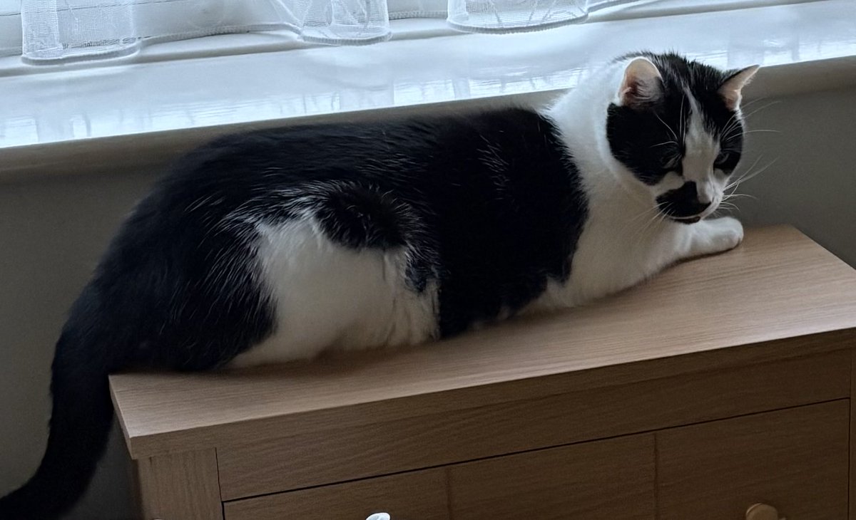 Sarah Cooper tweet media