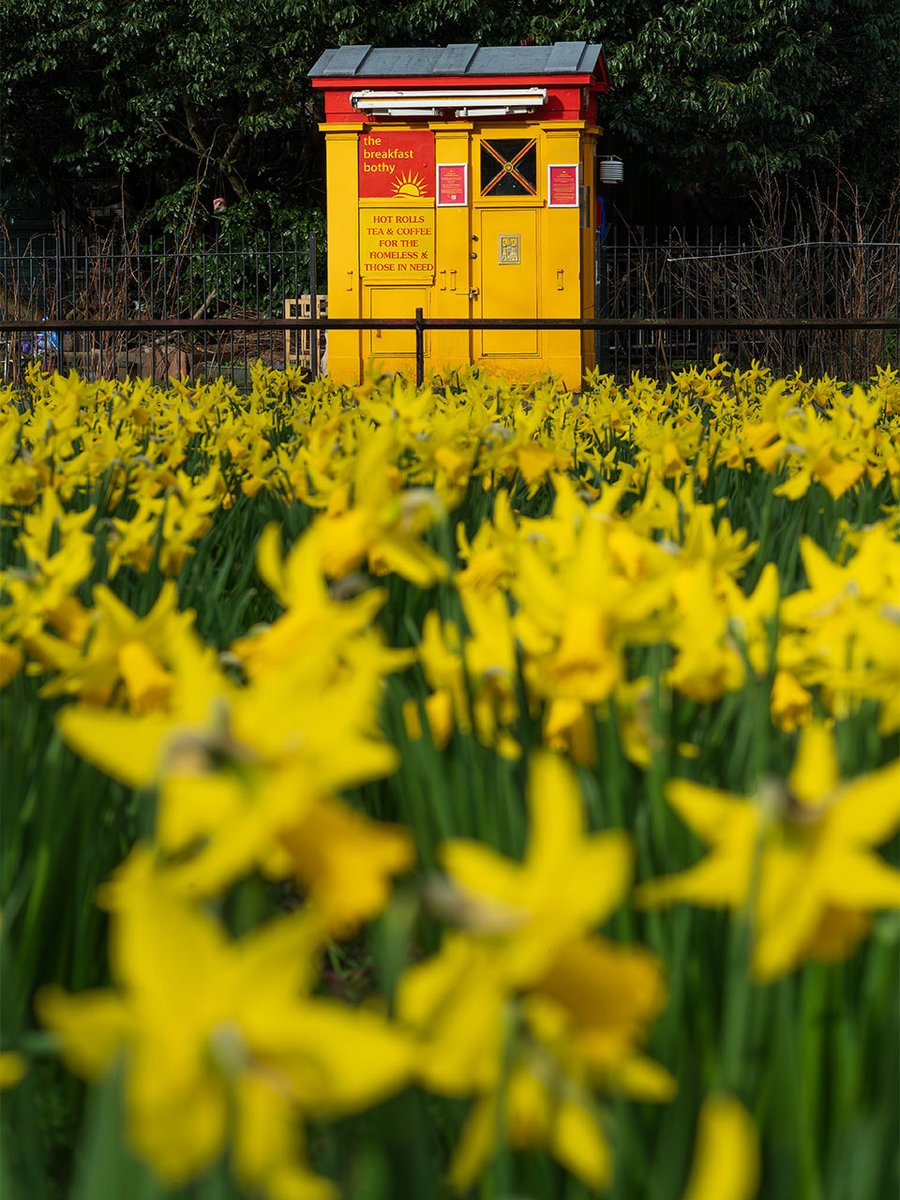 Tom Duffin Photography tweet media