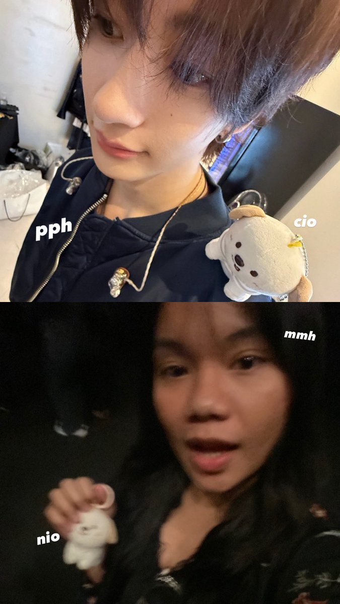 kici 🦕 tweet media