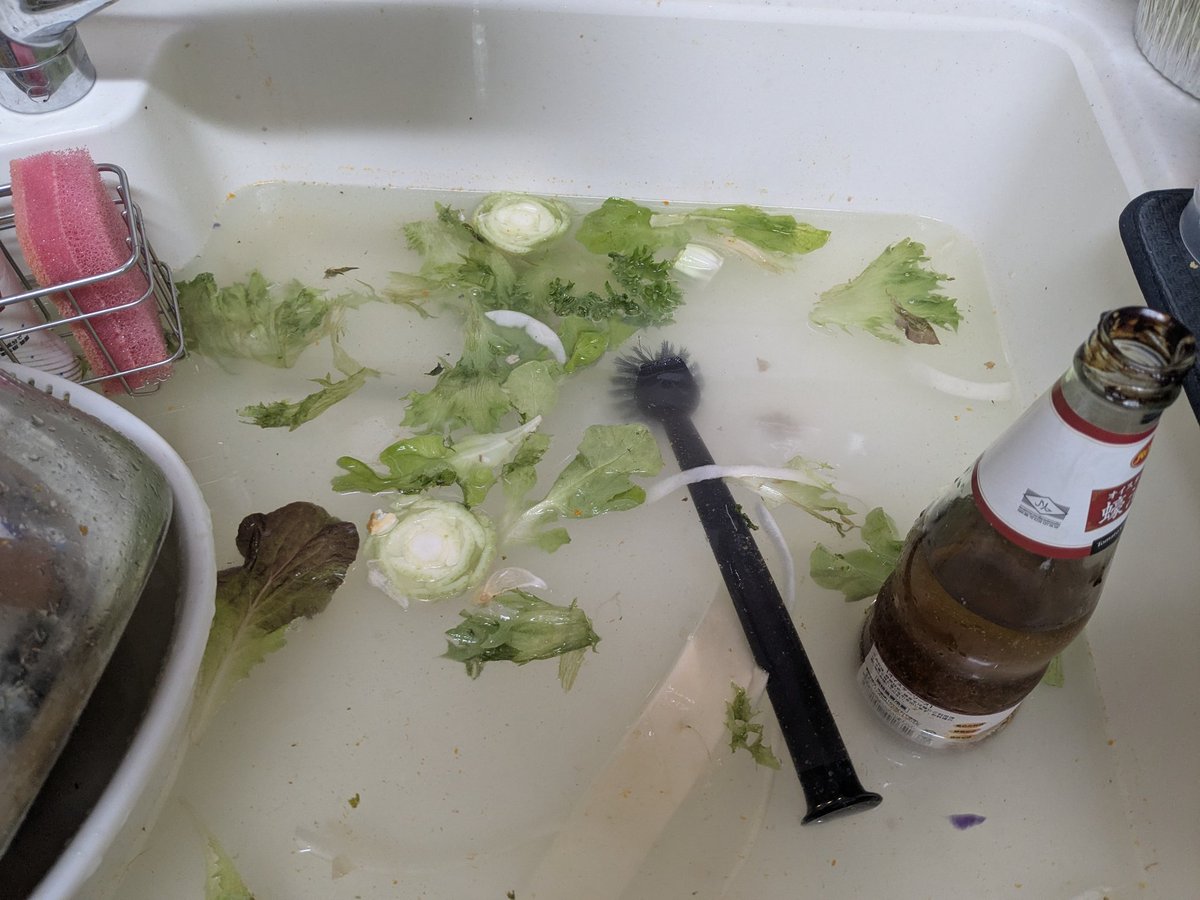 ゴミ捨て出来ない人と結婚したおかげで、つまらない人生ではなく、詰まる人生を送ってます。さて、今から詰まらないようにします。