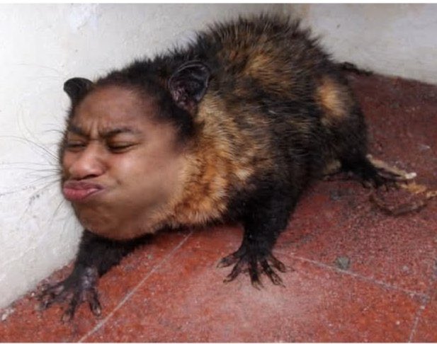 Walitan Angelo tweet media