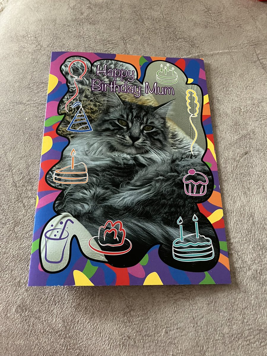 Jasper the Cat (never forgetting Milo) 🌈 tweet media