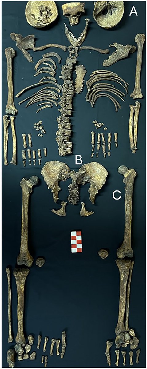 Forensic Sciences Research tweet media