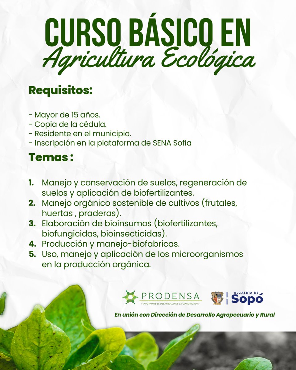 Prodensa tweet media