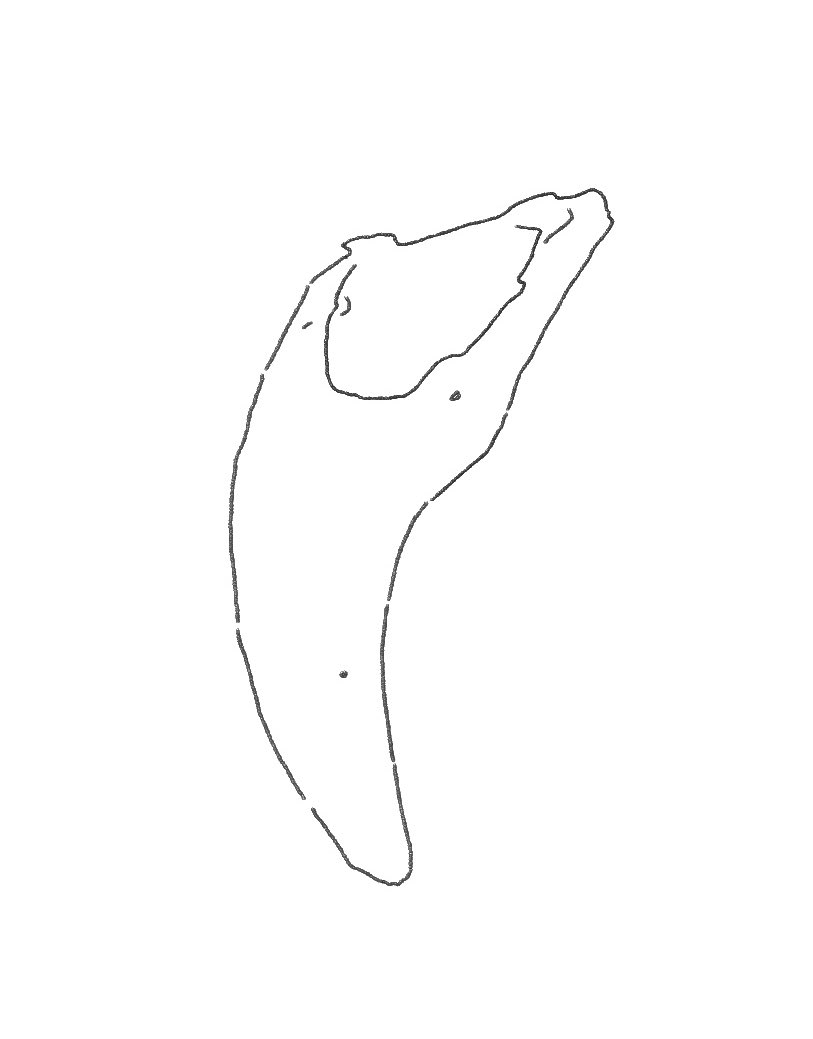 עמוד מעריצים לגור ואוח tweet media