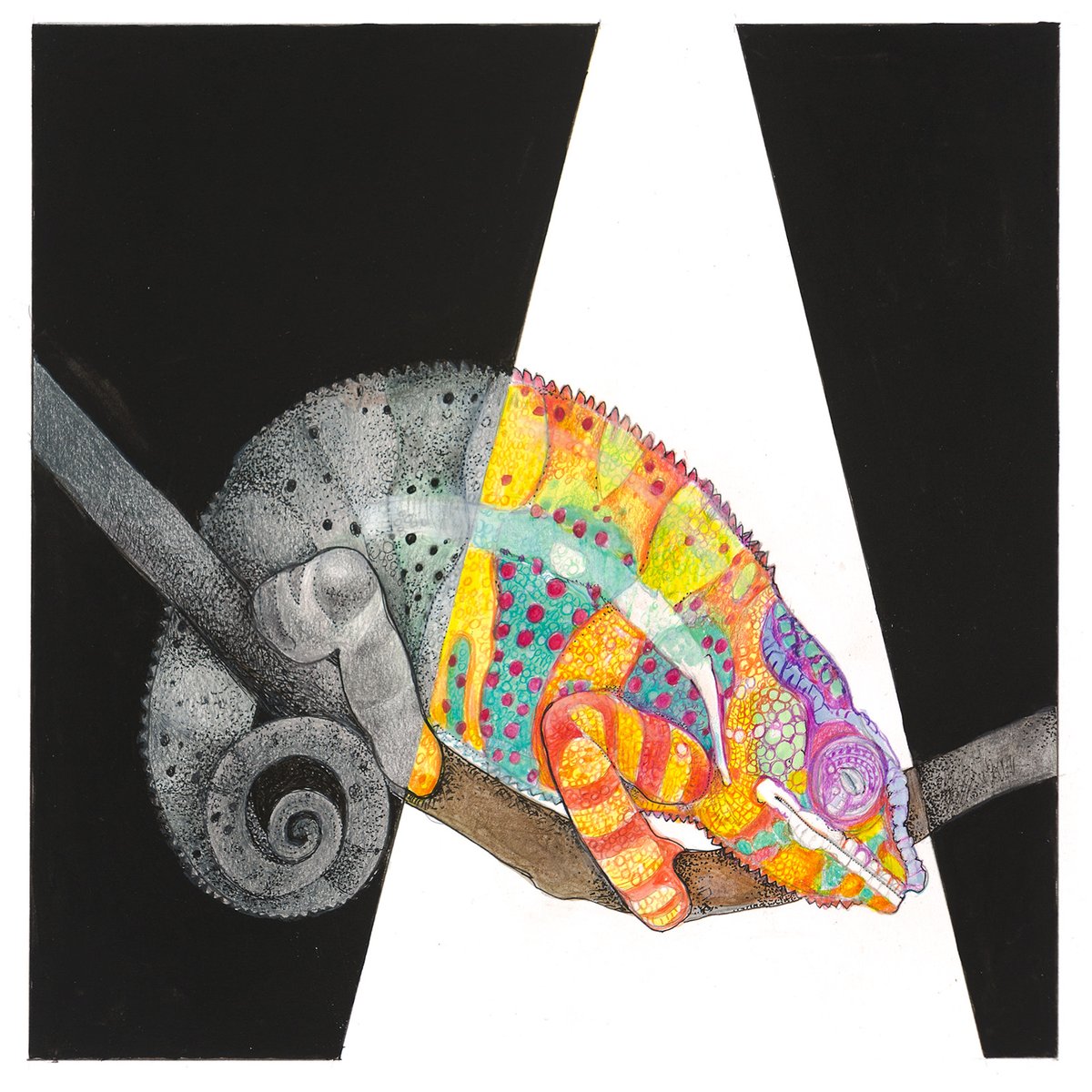 Barrett Klein tweet media