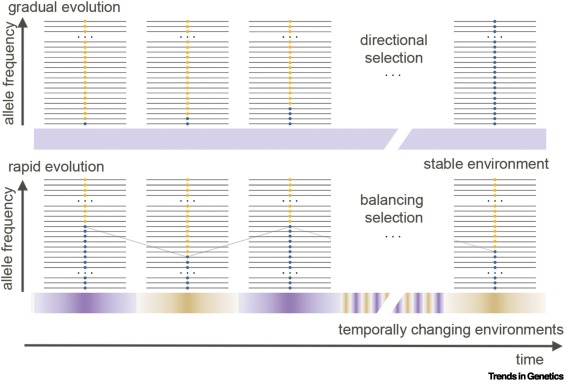 Trends in Genetics tweet media