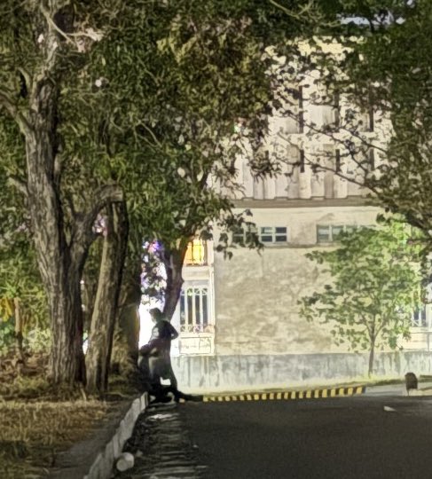 Happening right now!
#outdoorfun