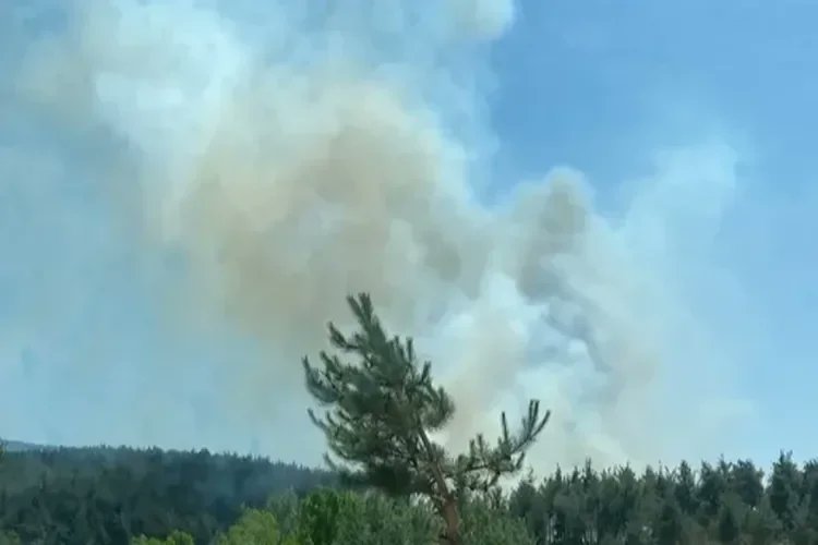 bhanettr's tweet image. Zeytinburnu’nda yangın: Alevler 1 saatte kontrol altına alındı 

#İstanbul #yangın

🔗bha.net.tr/istanbul/zeyti…