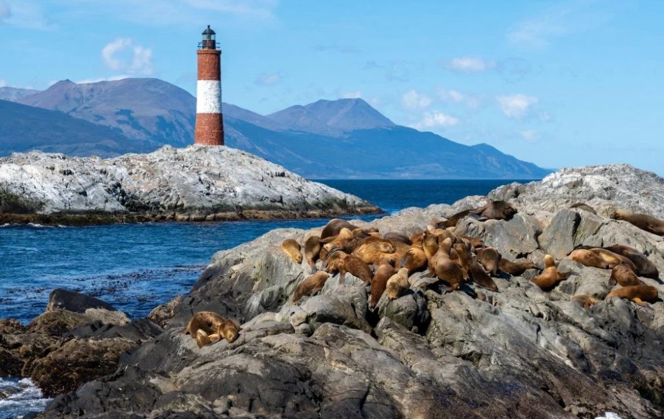 Nadia Luna tweet media