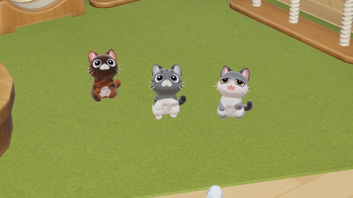 れおちゃん tweet media