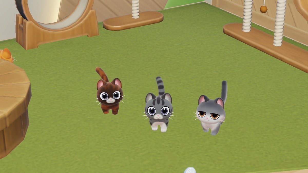 れおちゃん tweet media