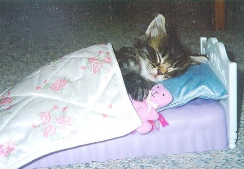 a echarme una siesta porq pegarme un tiro no puedo